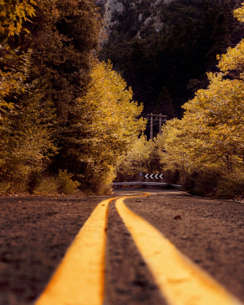 Road-Safety:-Exploring-Lane-Departure-Warning-System-(LDWS), LDWS, Lane-Departure-Warning-System, Photo by Dimitris.s12: https://www.pexels.com/photo/sepia-photography-of-asphalt-road-in-between-trees-1483576/, windshield repair, windshield replacement